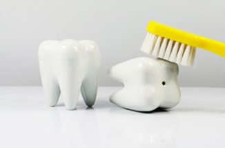 Plastic Teeth and a Tooth Brush | Avalon Dental, your Carson and El Segundo Dentist